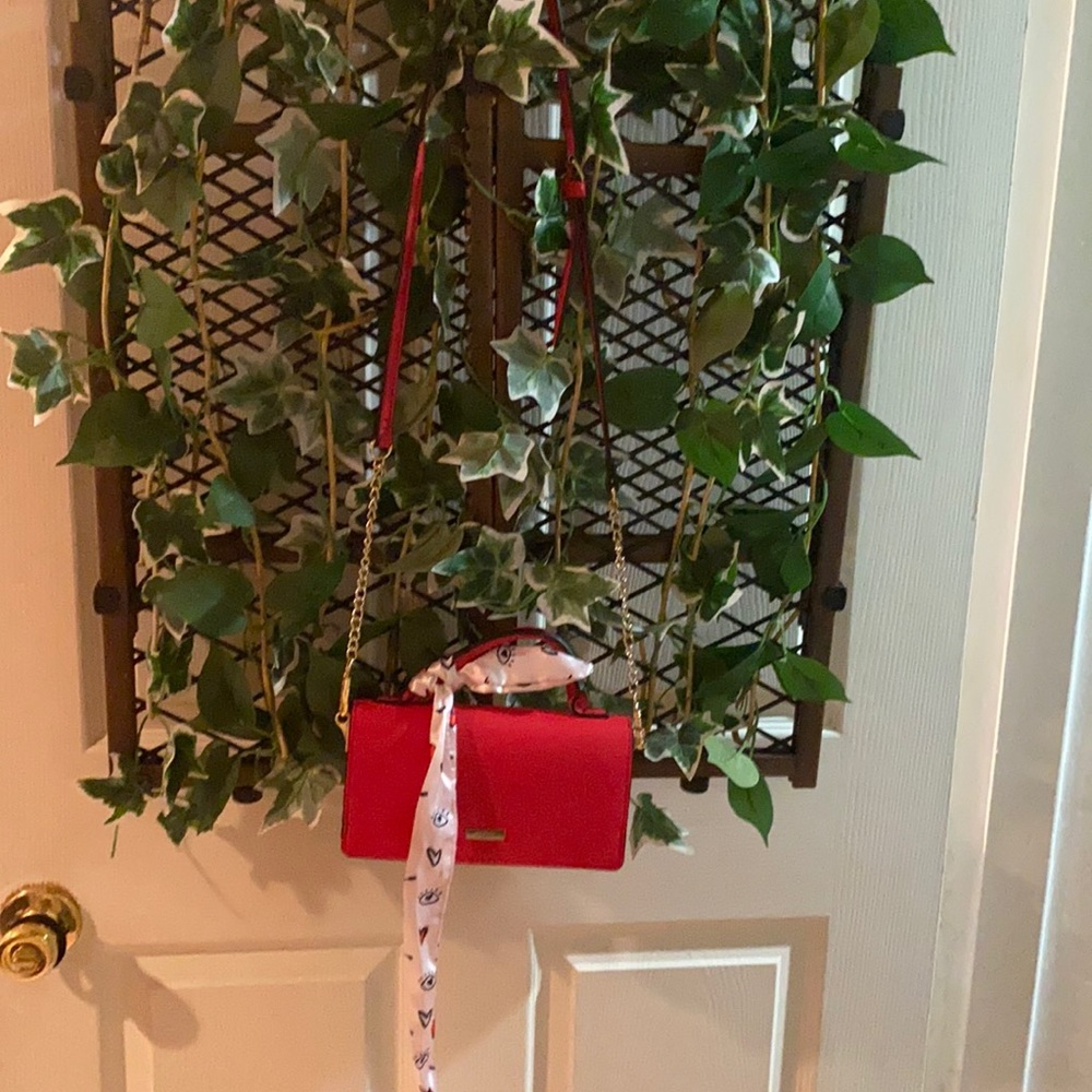 Beautiful sassy red clutch/purse
